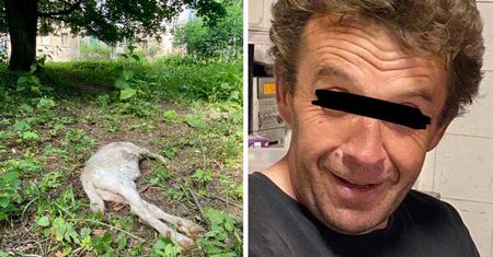 Dziwiszów. Zarzuty dla mordercy koziołka. Szokujące kulisy sprawy