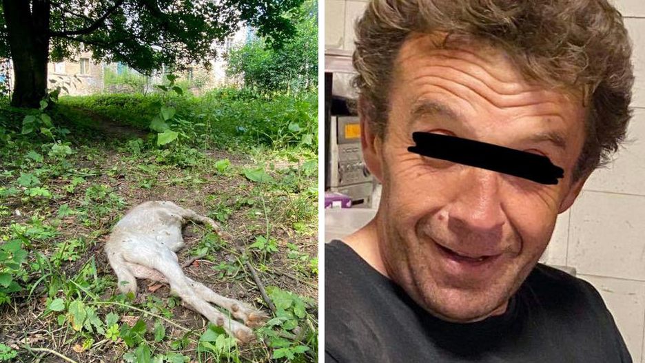 Dziwiszów. Zarzuty dla mordercy koziołka. Szokujące kulisy sprawy