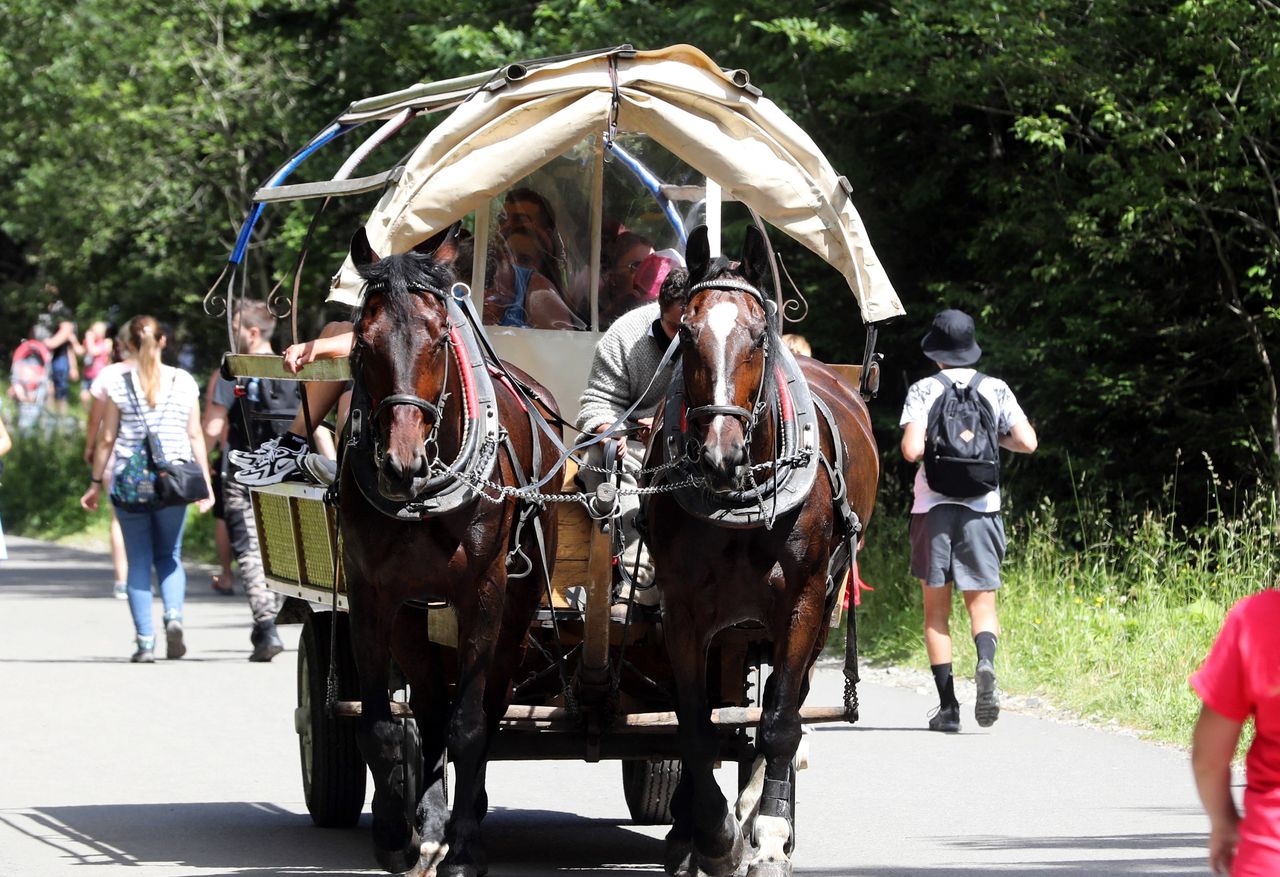 Turyści na drodze do Morskiego Oka 