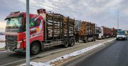 Sprawdzali przewóz drewna. Odkryli problemy z kierowcą