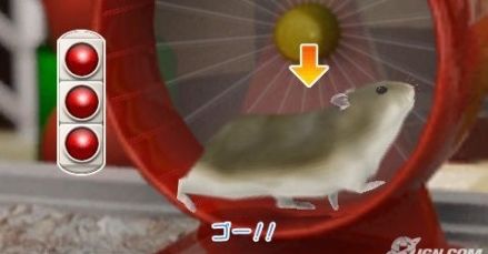 Chomiki na PSP