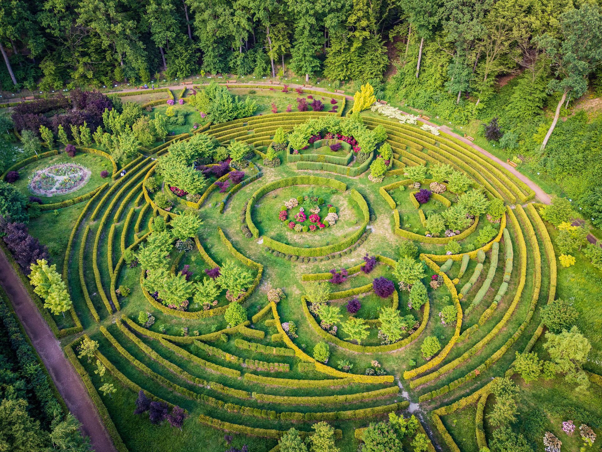 Arboretum Bramy Morawskiej w Raciborzu
