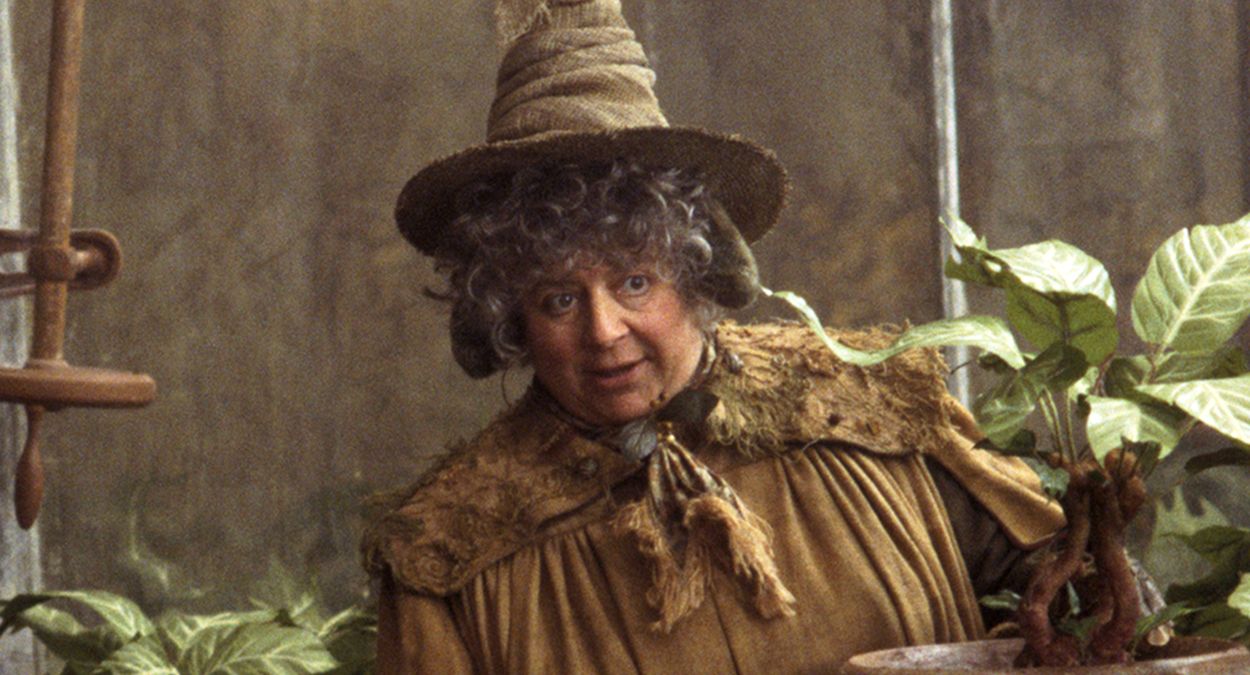 Miriam Margolyes jest najbardziej znana z serii "Harry Potter"