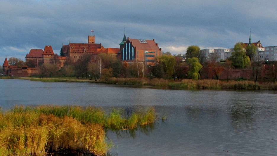 Malbork. Niecodzienna akcja ratunkowa.