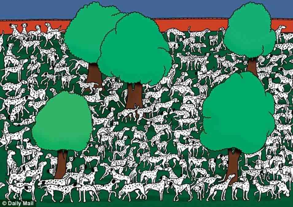 Zagadka z dalmatyńczykami