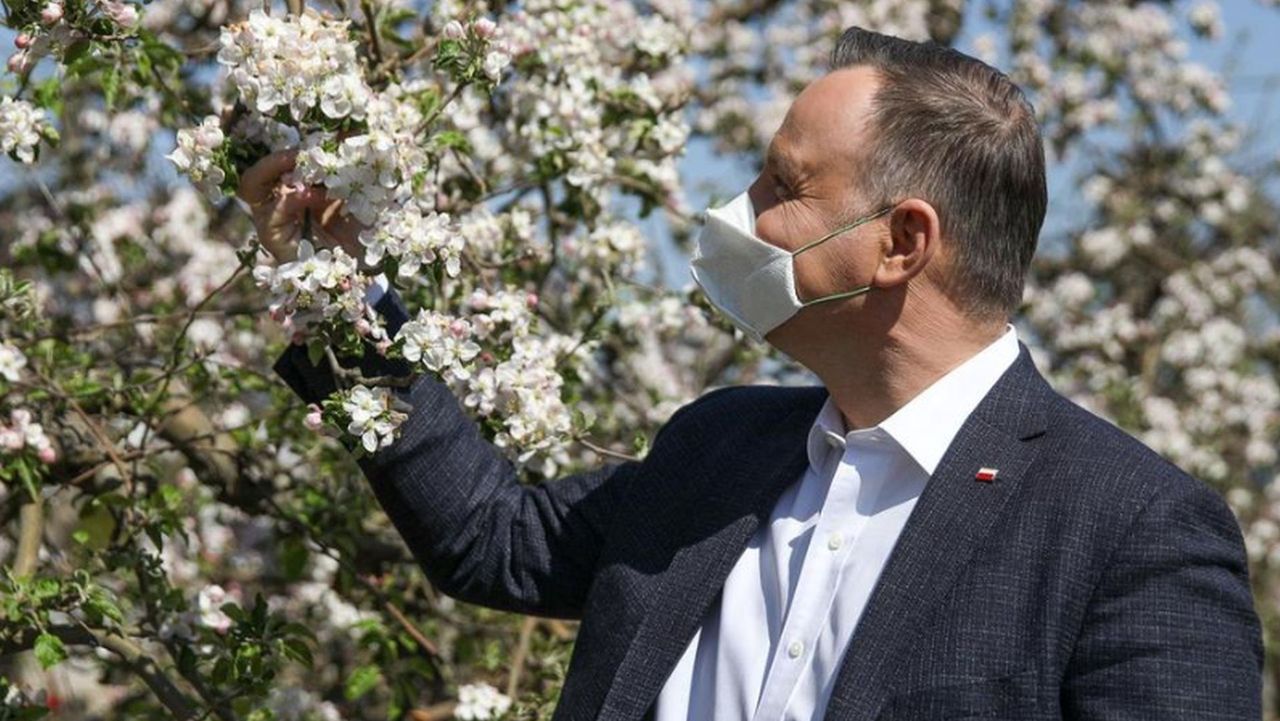 W malinowym chruśniaku, ale może być w sadzie jabłoni (Felieton)