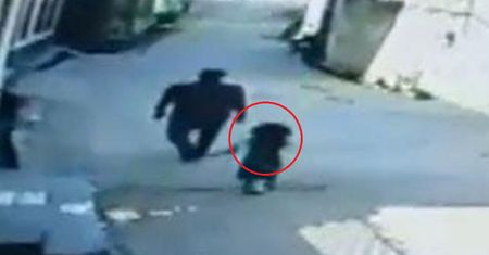 Tu 6-latkę widziano po raz ostatni. Koszmarne odkrycie w Indiach