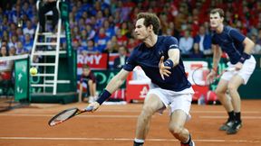 Puchar Davisa: Andy Murray zwieńczył dzieło, 10. triumf Wielkiej Brytanii