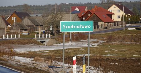 Unia boi się afrykańskiego pomoru świń. Polska będzie strefą buforową