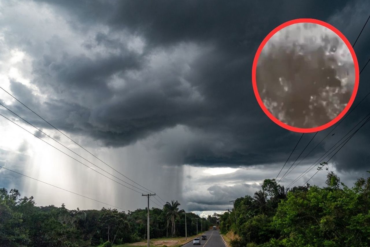 Fires in Brazil and Bolivia trigger 'black rain' across the region