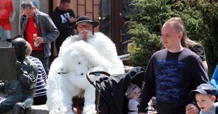 Pensja dla białego Misia? Zakopane walczy o fotel burmistrza