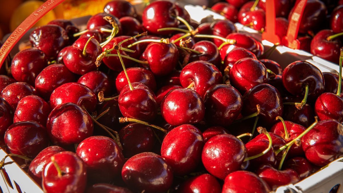 KAMIL JANISZEWSKI kamil@k2photo.
tropea, czerwony, kalabria, jedzenie, warzywo, surowy, owoc, natura, narodowy, lato, zbliżenie, zdrowy, podróż, obiekt, organiczny, typowy, odchudzanie, sklep, witamina, gotowanie, kuchnia, smak, stragan, wiele, gleba, witaminy, stos, spożywcze, potrawa, kolor, rolnictwo, ogród, pestka, drzewo