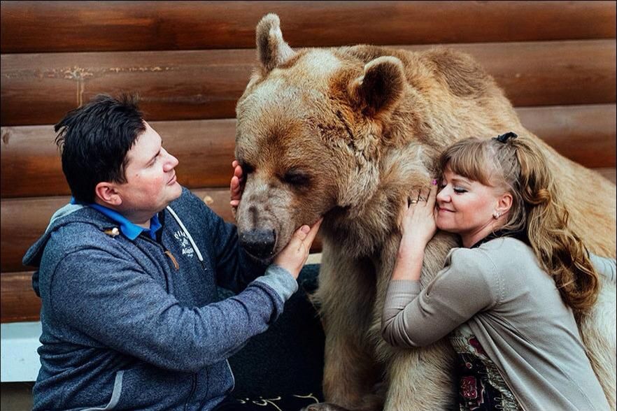 Para ma nietypowe zwierzę. Rosjanie mieszkają z niedźwiedziem