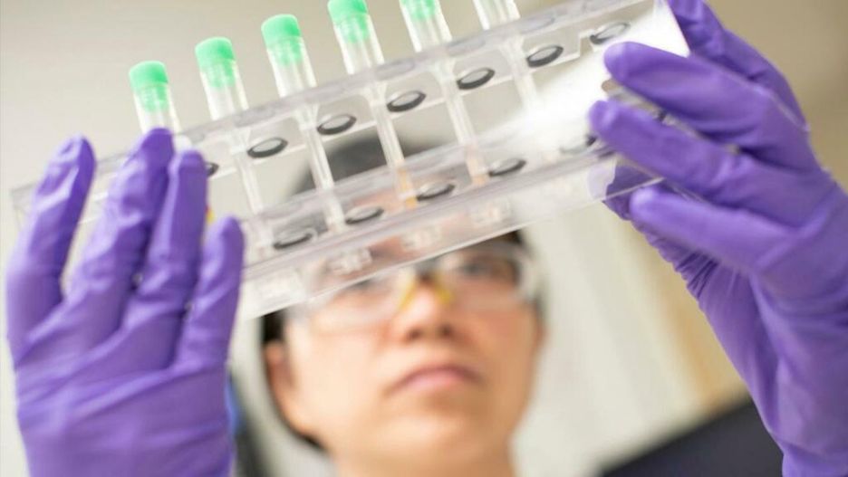 Koronawirus. Wrocław. Ujemne wyniki testów w urzędzie wojewódzkim