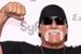 Hulk Hogan dostał sądowną zgodę na wgląd do maili portalu plotkarskiego