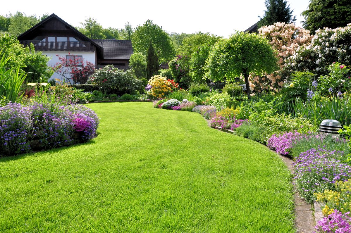 Jak założyć trawnik w ogródku? Podstawy dla początkującego ogrodnika