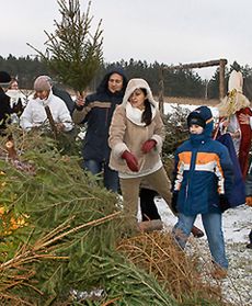 Pożegnanie tradycji bożonarodzeniowej