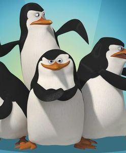 Spotkania z ''Pingwinami z Madagaskaru'' w kilku miastach Polski