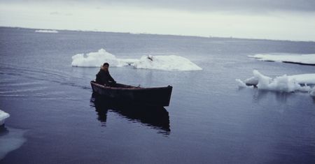 Ocean Arktyczny jeszcze w tym roku nie zamarzł. To niezwykle alarmujące