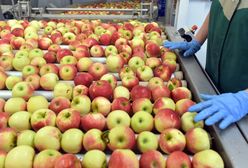 Ukraiński minister chwali spółkę. Jej założyciel jest ścigany w Polsce