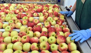 Ukraiński minister chwali spółkę. Jej założyciel jest ścigany w Polsce