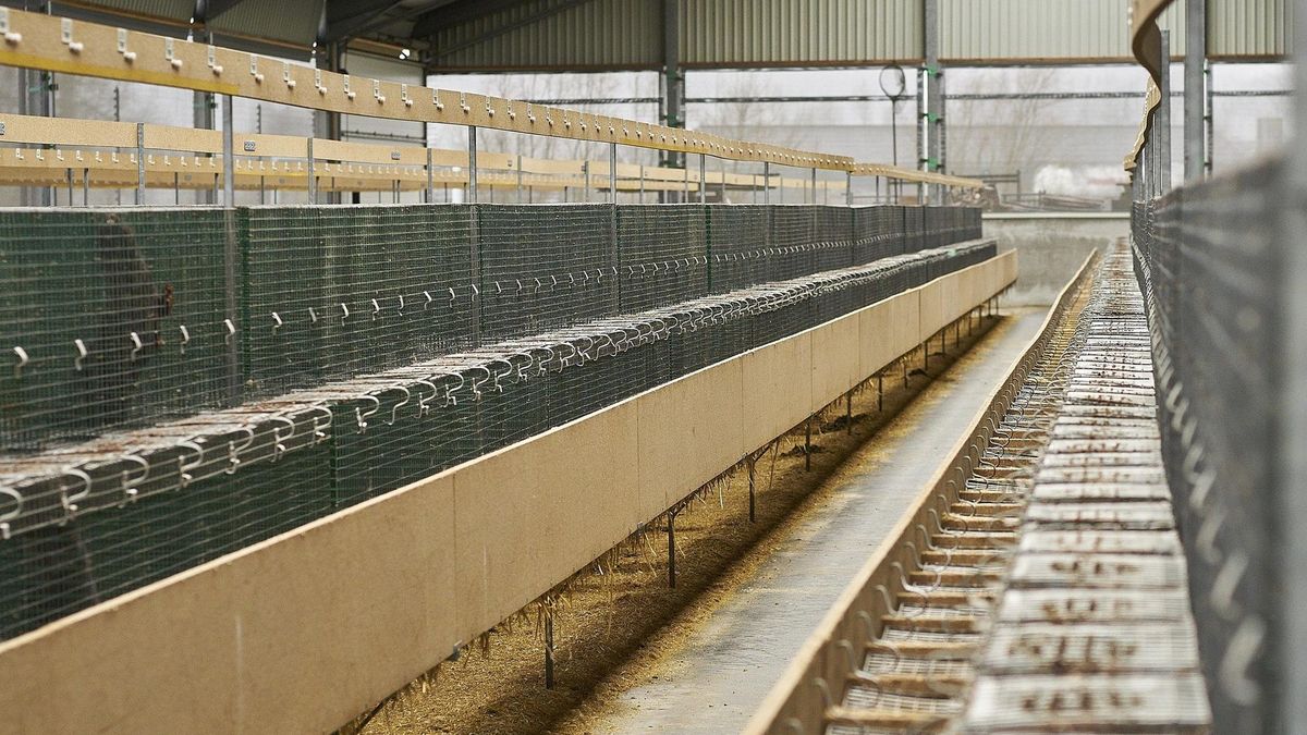 15 tys. koron duńskich mieli zarabiać Polacy w Danii. Zamiast tego byli obrażani i spali w busie