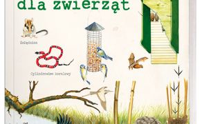 Jak budować? Domki i schronienia dla zwierząt