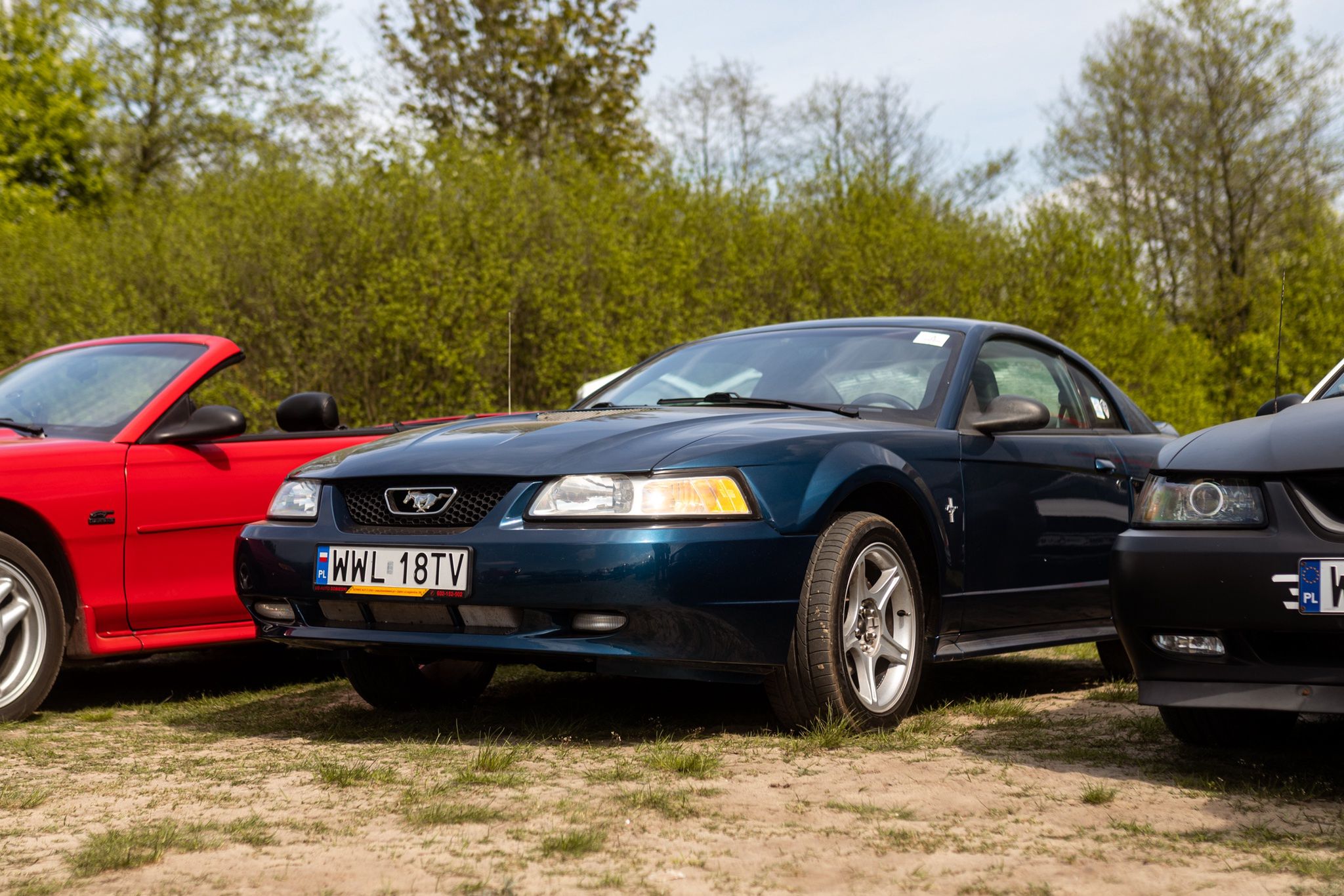 Zlot Mustang Klub Polska