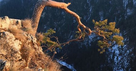 Skandaliczne zachowanie fotografa w Pieninach. Widać je na zdjęciu
