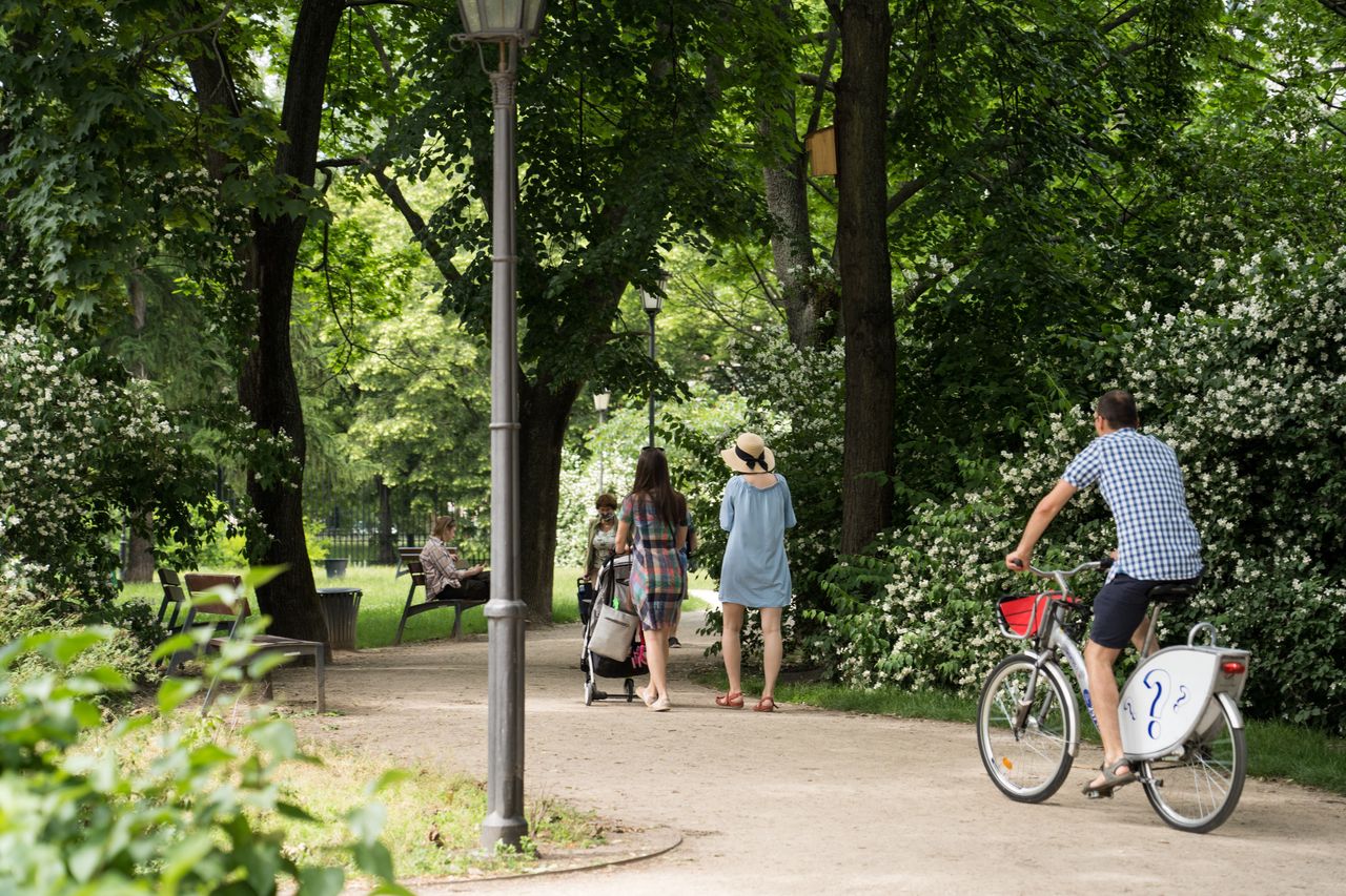 Wrocław. Poszli tłumnie na wybory 2020. W nagrodę otrzymają drzewa