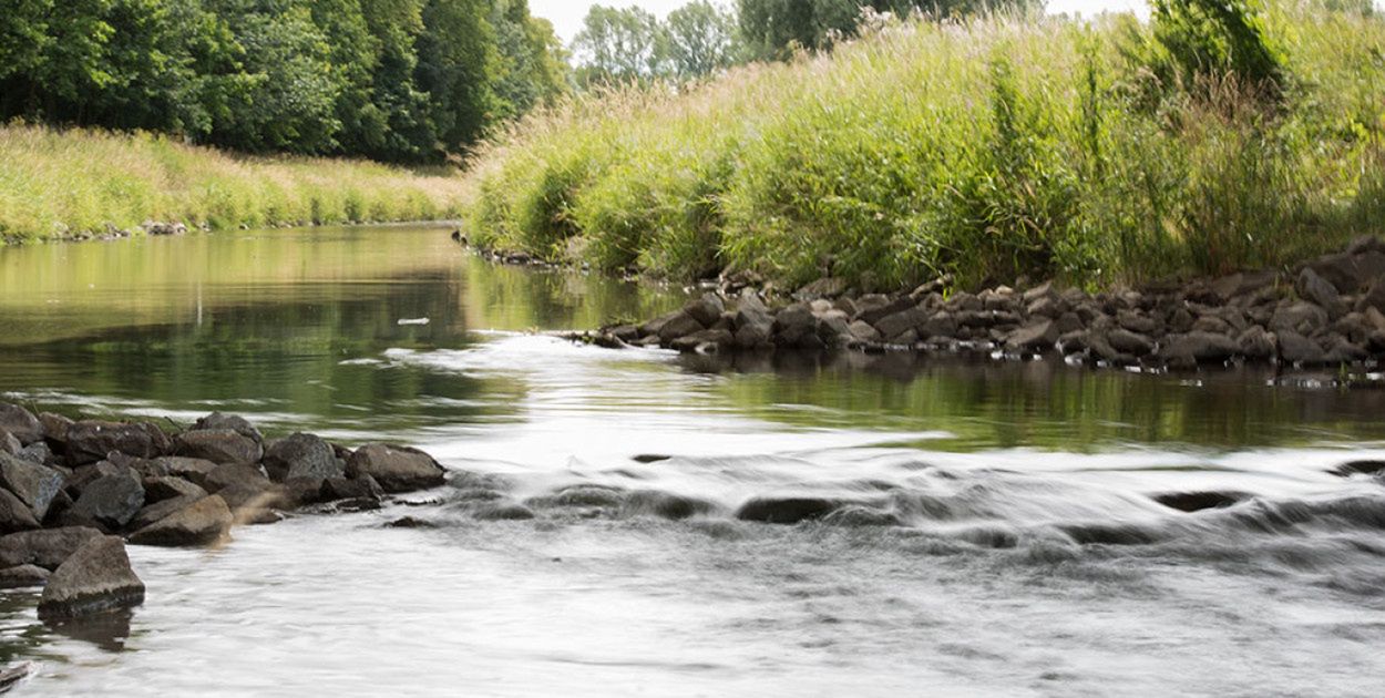 Legnica: Galeria Sztuki zaprasza do projektu o rzekach i dawnych mokradłach