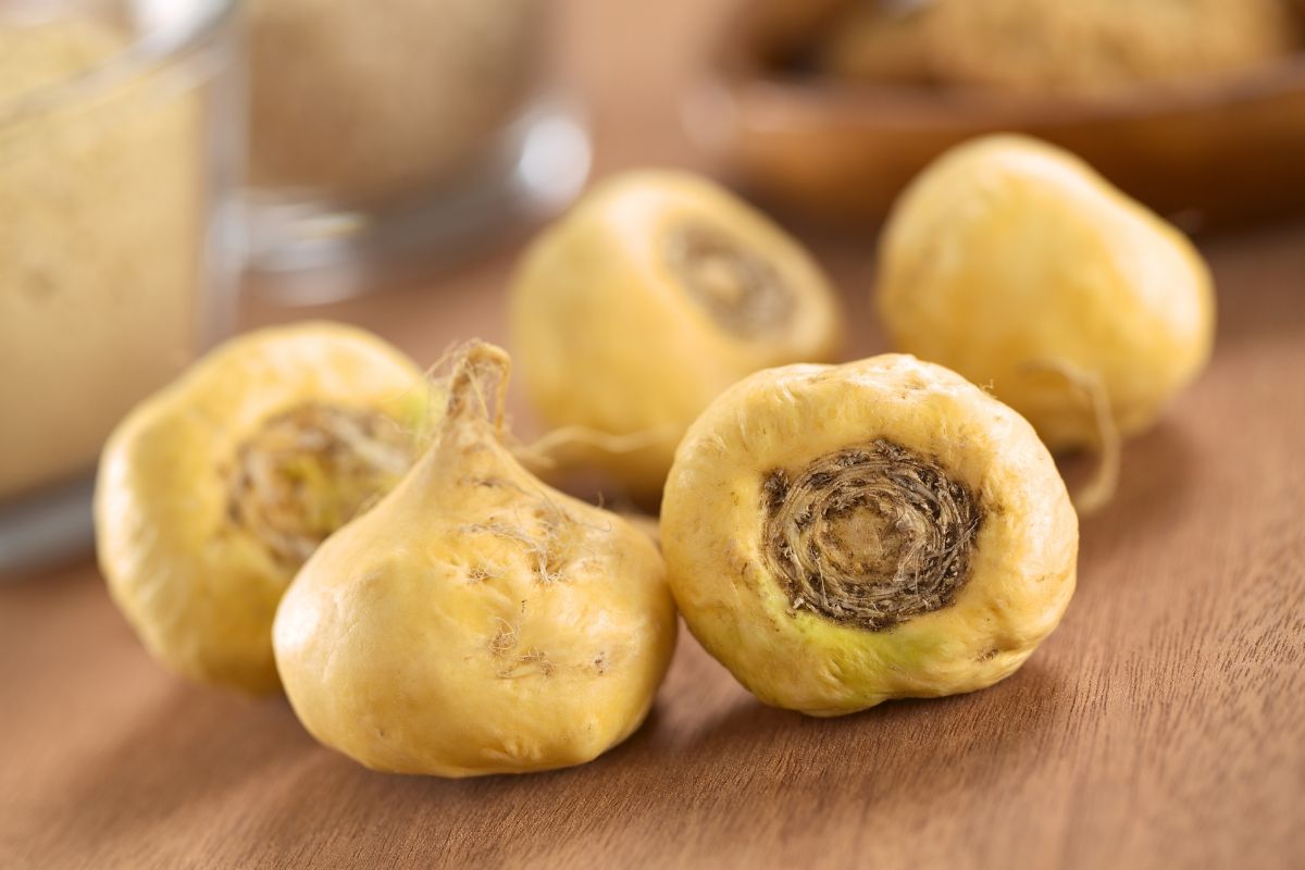 Maca to korzeń tzw. pieprznicy peruwiańskiej