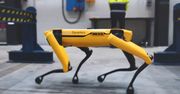 Hyundai kupił Boston Dynamics
