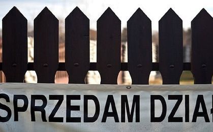 Wchodzi w życie nowa ustawa Prawo geodezyjne i kartograficzne