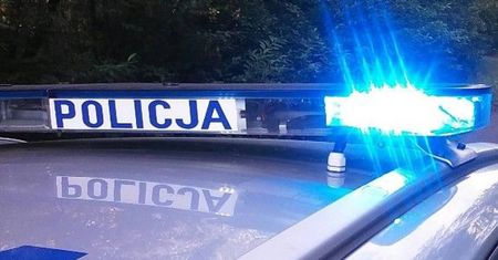 Groźna interwencja policji. Siekiera kontra paralizator