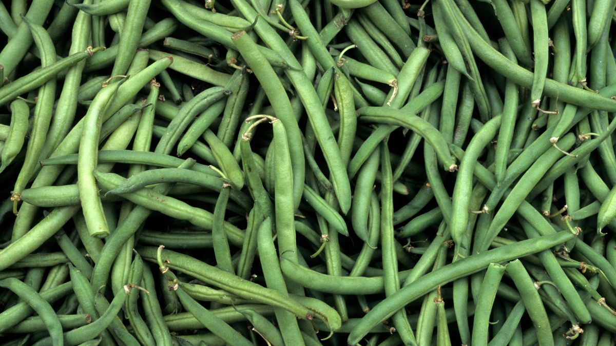 Fasolka szparagowa i jej wartości odżywcze