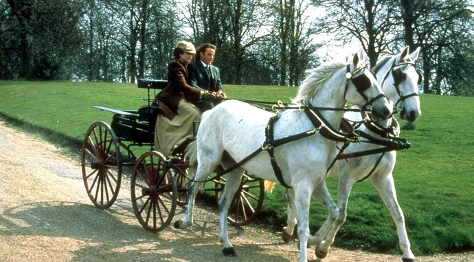 Greystoke: Legenda Tarzana, władcy małp