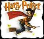 Harry Potter licytowany