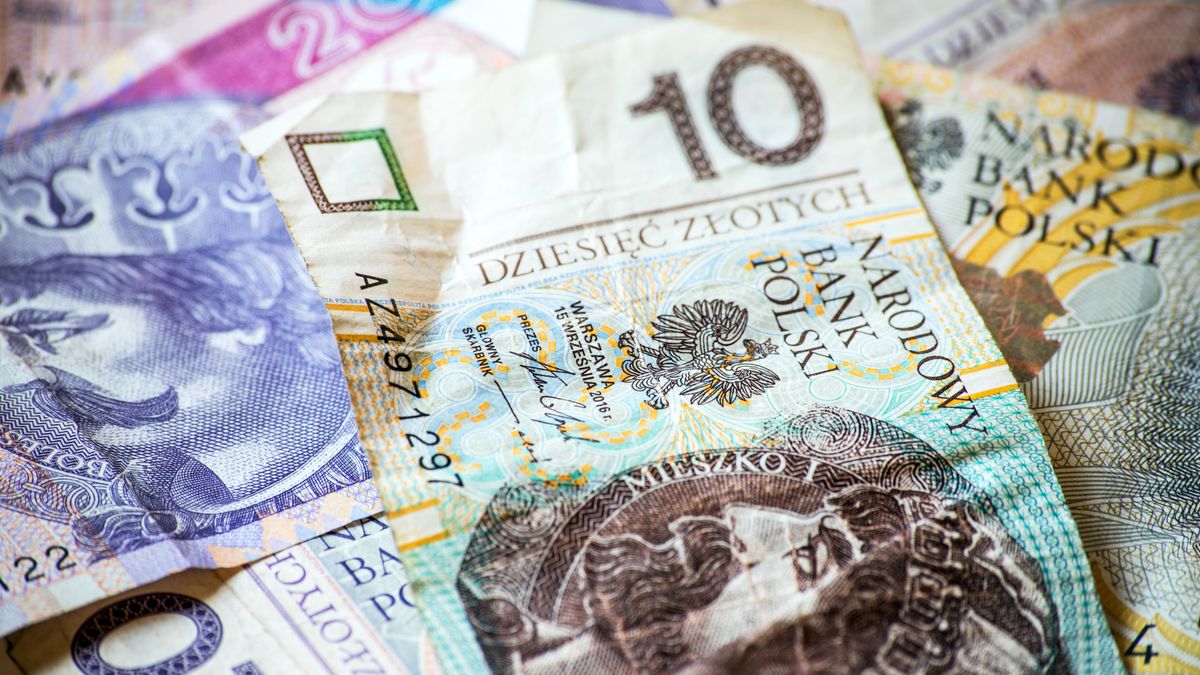 To był rekordowy rok dla OFE