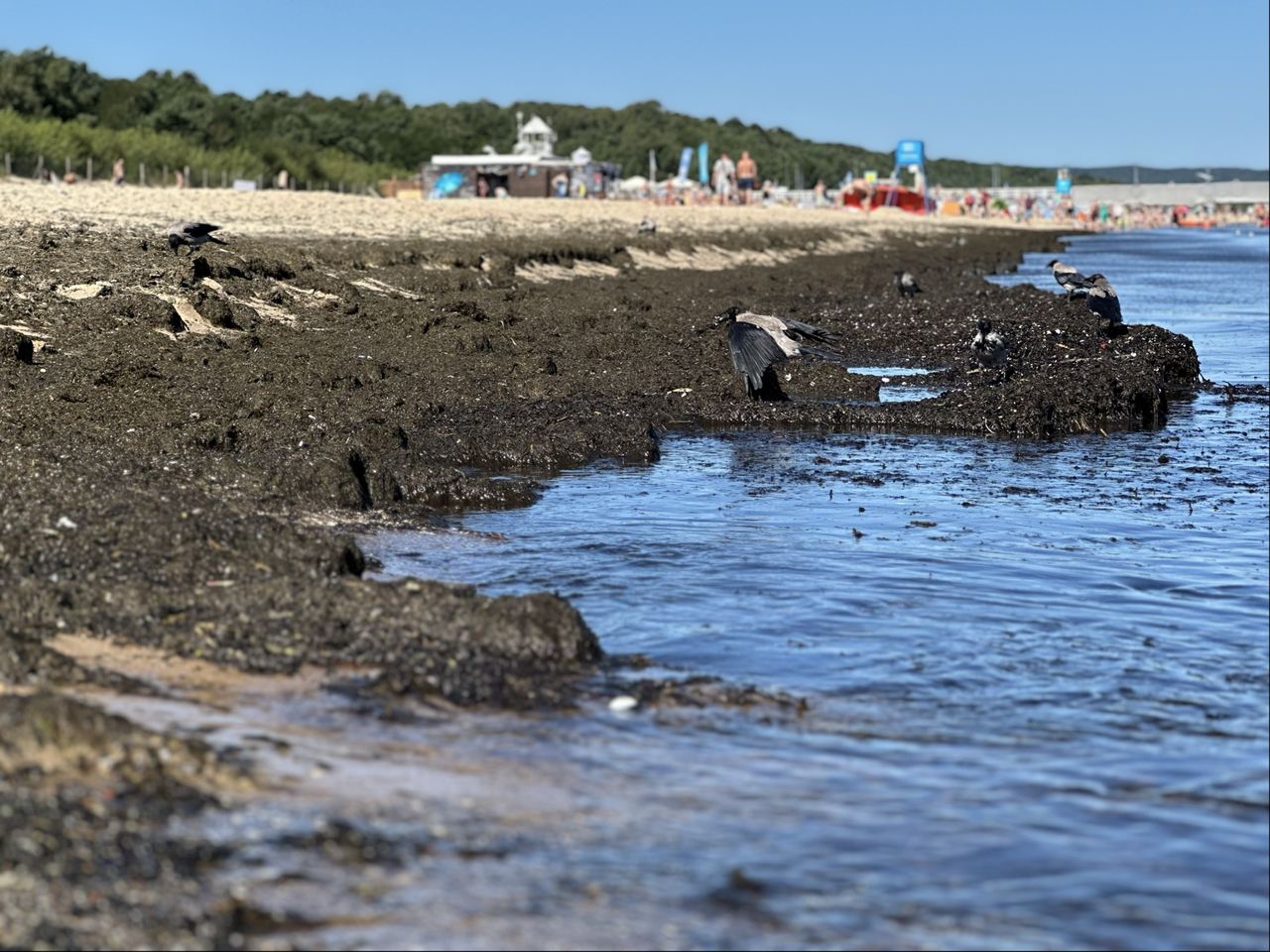 Plaża Brzeźno