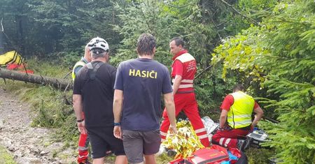 Mężczyzna w Beskidach przygnieciony przez drzewo podczas burzy. Jego stan jest krytyczny