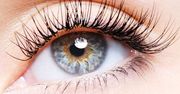 Jak odżywić rzęsy?