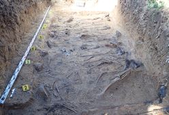 Wyjątkowe odkrycie w Lubuskiem. Masowy grób z artefaktami