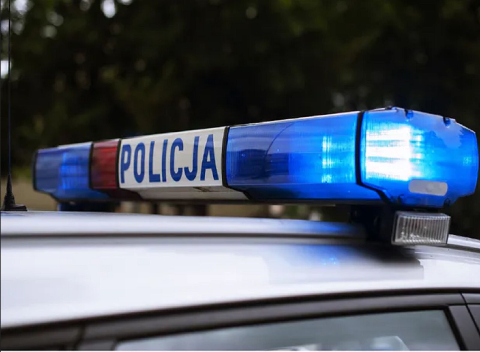 Miarka się przebrała. Policja zatrzymała matkę, córkę i syna