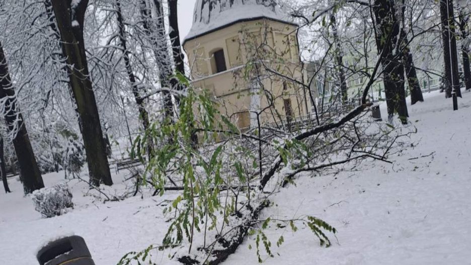 Fot. PGKiM Jarosław