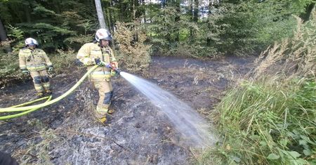 Pożar w środku lasu. Leśnicy mówią o przyczynach