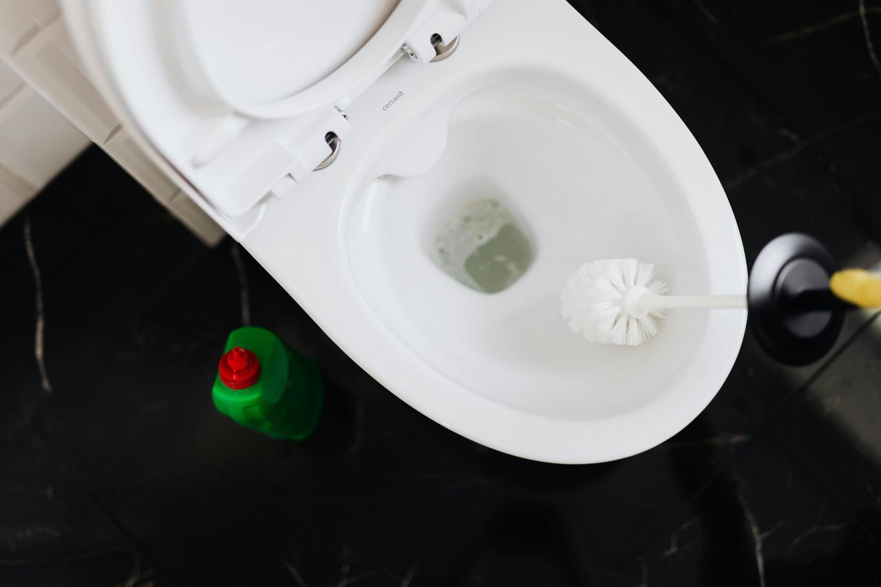 Clean your toilet brush: Simple steps to eliminate bacteria weekly