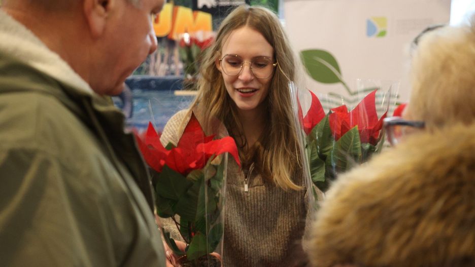 Gwiazdy betlejemskie za elektrośmieci w galerii Nowa Górna