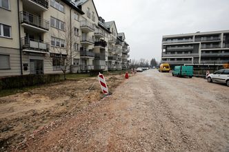 Niemcy ostrzegają przed problemem, który dotknął już Polskę. "Najgorsza sytuacja od 30 lat"