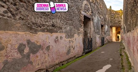 Niesamowite odkrycie w Pompejach. Naukowcy są zaskoczeni. Jest ich aż 79